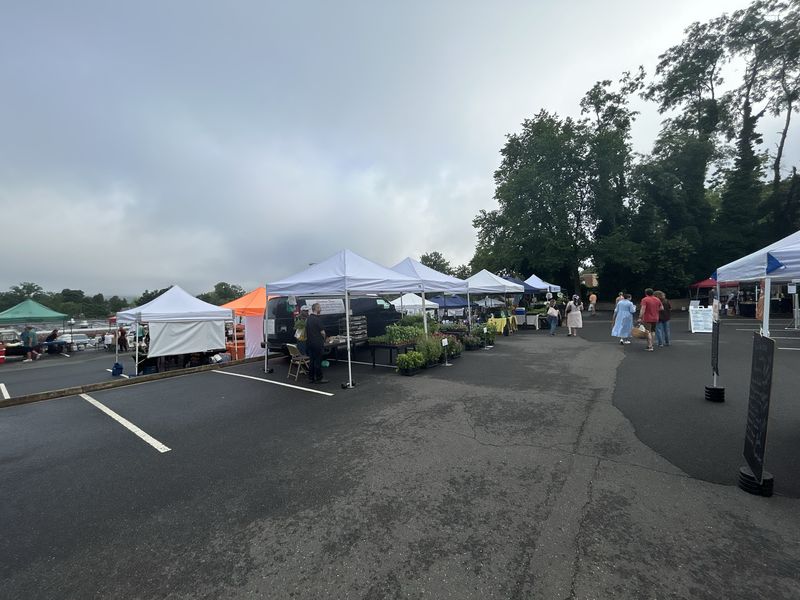 White canopy tents in a parking lot under an overcast sky, tables of seedlings and produce beneath them, a few people walking between the stands.